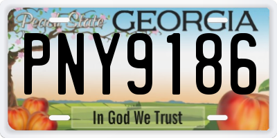 GA license plate PNY9186