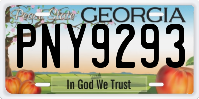 GA license plate PNY9293