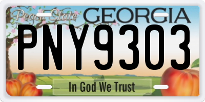 GA license plate PNY9303