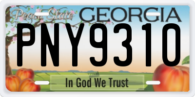 GA license plate PNY9310