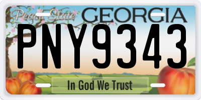 GA license plate PNY9343