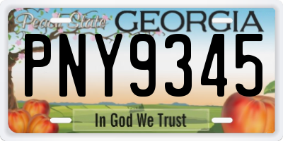 GA license plate PNY9345