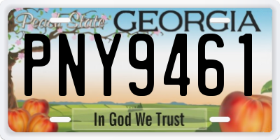 GA license plate PNY9461