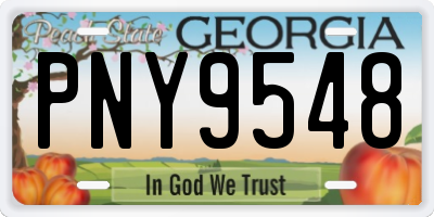 GA license plate PNY9548