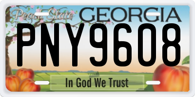 GA license plate PNY9608