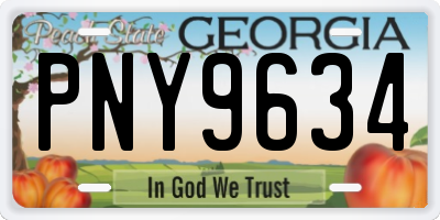 GA license plate PNY9634