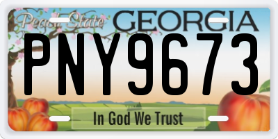 GA license plate PNY9673