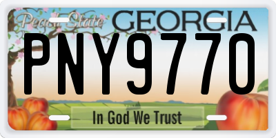 GA license plate PNY9770