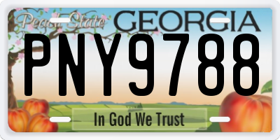 GA license plate PNY9788