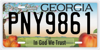 GA license plate PNY9861