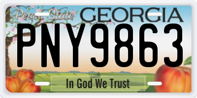 GA license plate PNY9863