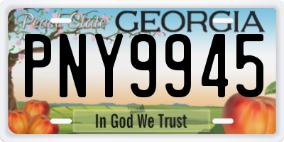 GA license plate PNY9945
