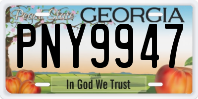GA license plate PNY9947