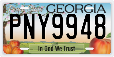 GA license plate PNY9948