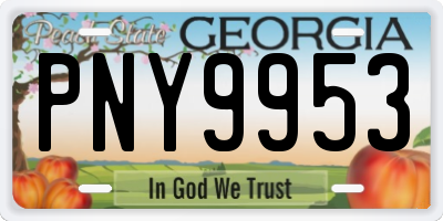 GA license plate PNY9953