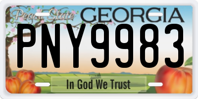 GA license plate PNY9983