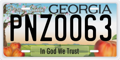 GA license plate PNZ0063