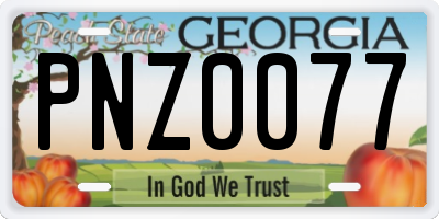 GA license plate PNZ0077