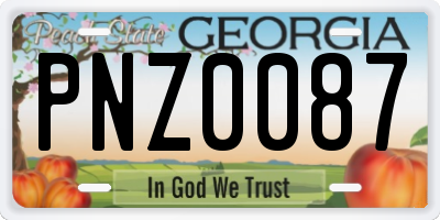 GA license plate PNZ0087