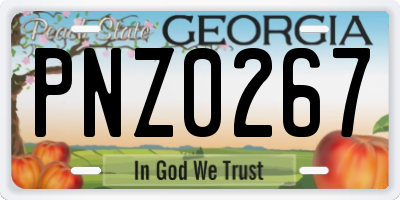 GA license plate PNZ0267