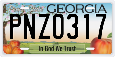 GA license plate PNZ0317