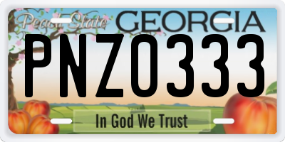 GA license plate PNZ0333