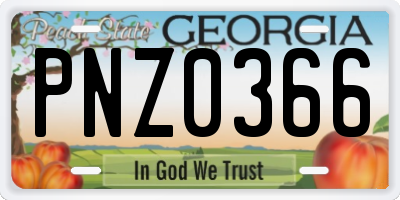 GA license plate PNZ0366