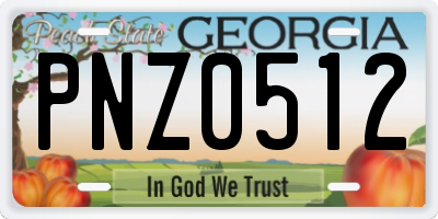 GA license plate PNZ0512