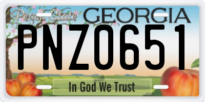 GA license plate PNZ0651