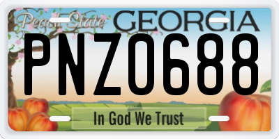 GA license plate PNZ0688