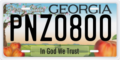 GA license plate PNZ0800