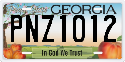 GA license plate PNZ1012
