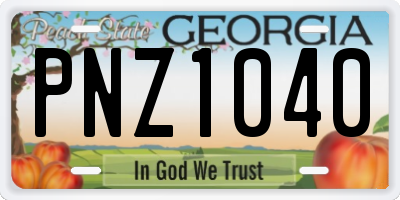 GA license plate PNZ1040