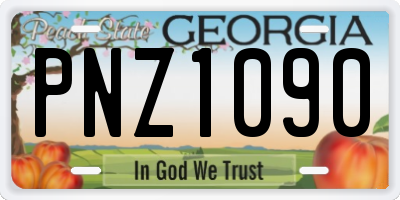 GA license plate PNZ1090