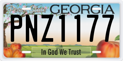 GA license plate PNZ1177
