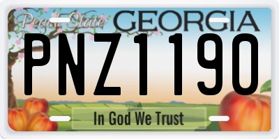 GA license plate PNZ1190