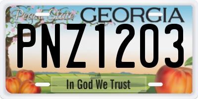 GA license plate PNZ1203