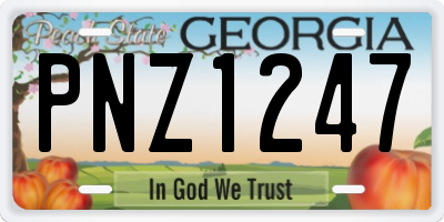 GA license plate PNZ1247