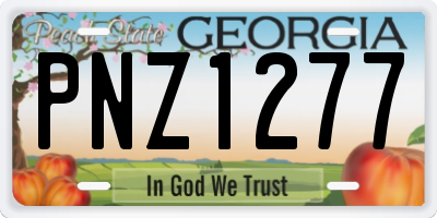 GA license plate PNZ1277