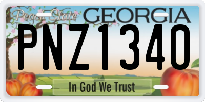 GA license plate PNZ1340