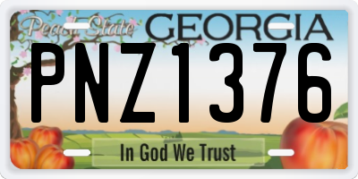 GA license plate PNZ1376