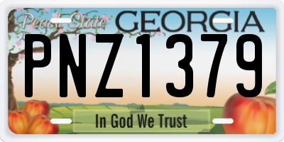 GA license plate PNZ1379