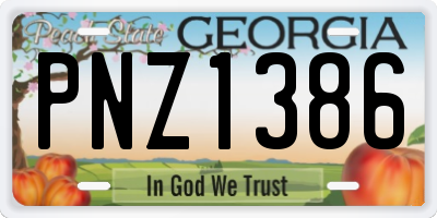 GA license plate PNZ1386