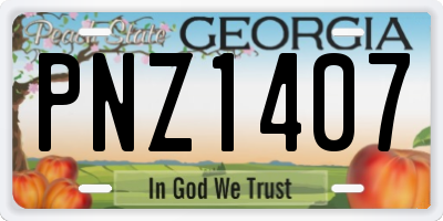 GA license plate PNZ1407
