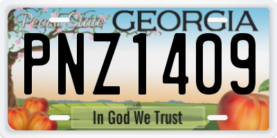 GA license plate PNZ1409