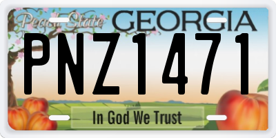 GA license plate PNZ1471