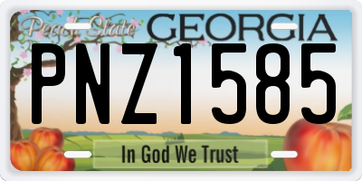 GA license plate PNZ1585