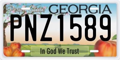 GA license plate PNZ1589