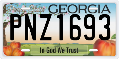 GA license plate PNZ1693