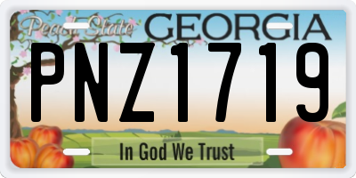 GA license plate PNZ1719